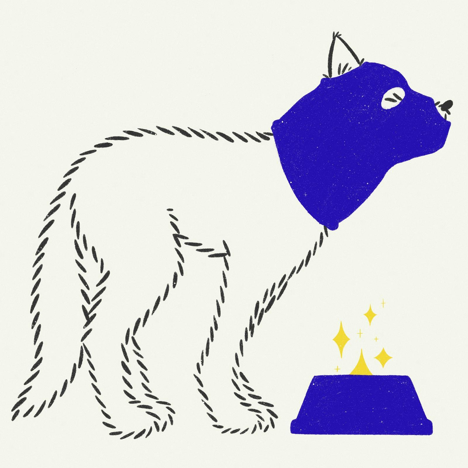 Bluemaskdog