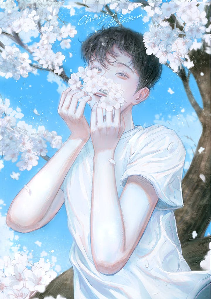 CHERRY BLOSSOM