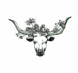 user-profile-image-LONGHORN